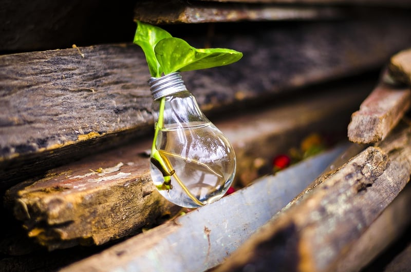Upcycling Innovations