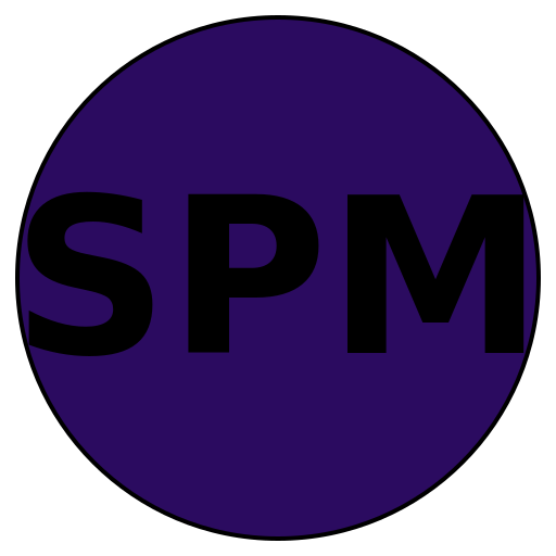 Savvy Project Master